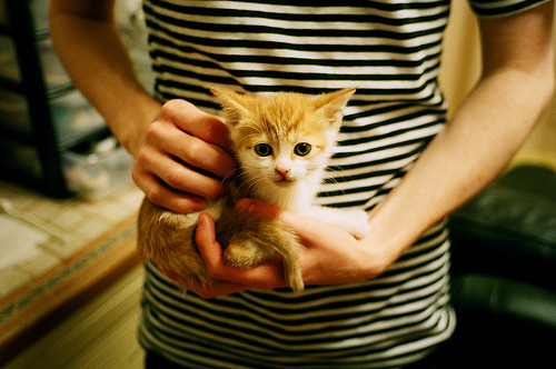 莫兰特独舞五棵松，北京主场饮恨败负