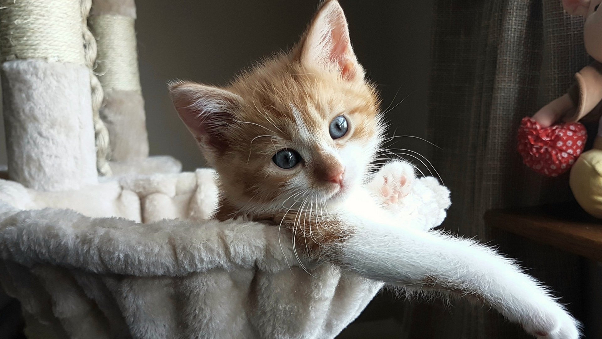 同样的德比剧本,当长三角德比遇上足球元素