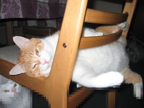 奥运前哨战，太阳硬仗取胜奇才背后的全球战略布局