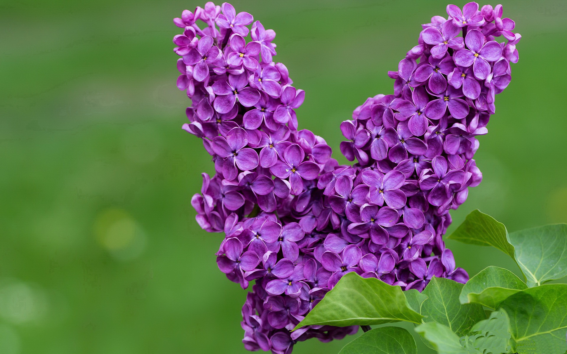 冰川巨人VS精密钟表，挪威强压瑞士背后的足球哲学碰撞