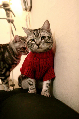 2026世界杯焦点战，莱比锡红牛系球员闪耀，德国队横扫加纳展现统治力