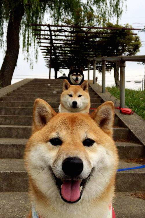 火力全开！老鹰展翅灼伤太阳，切特一锤定音