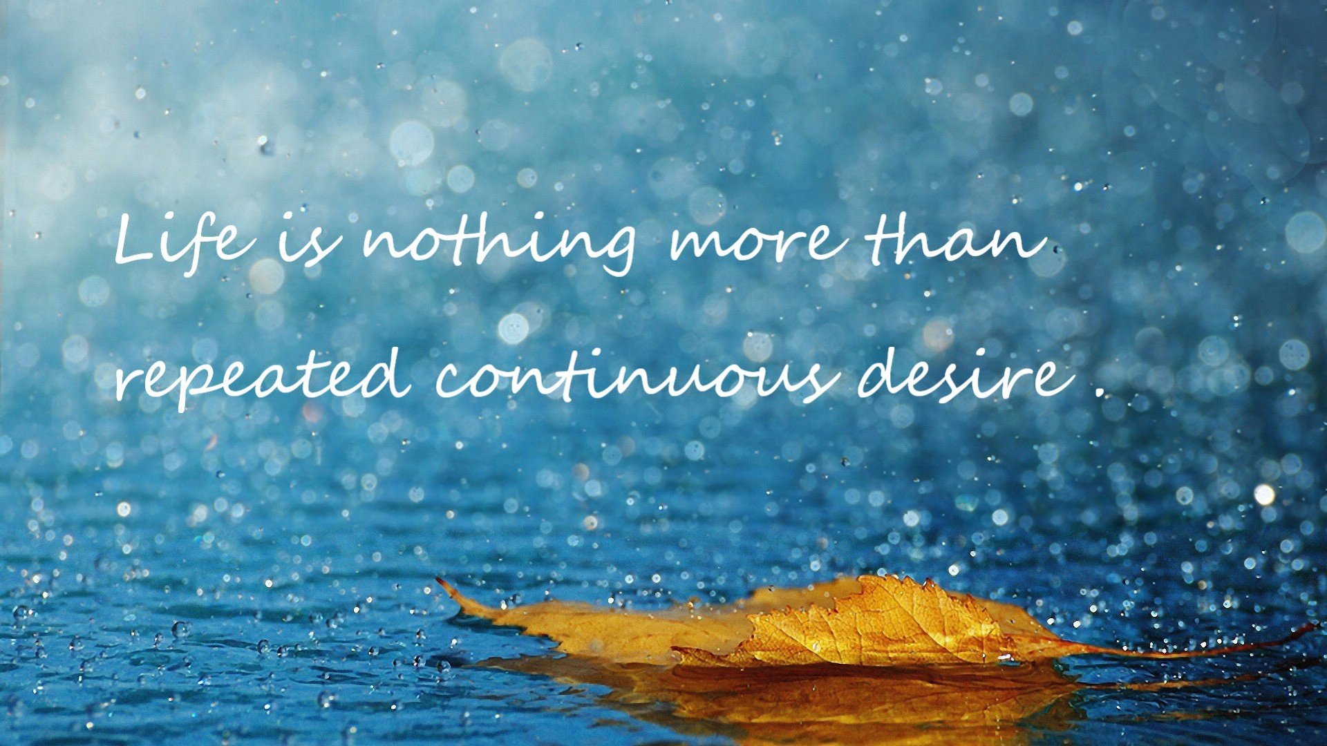 国王的最后一舞，当欧文在杭州的雨夜成为命运执笔人