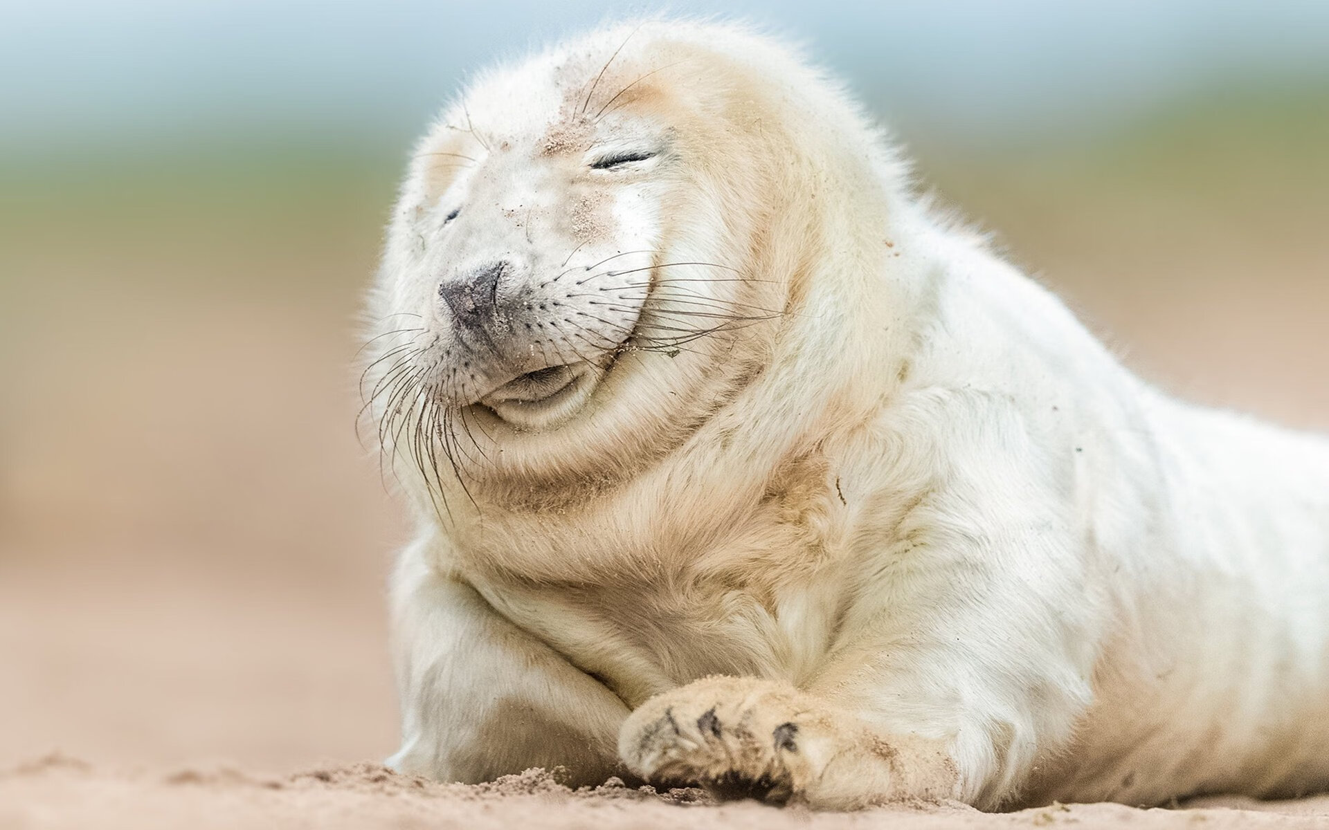 当东方武士遇上永恒之城，莱奥的跨界舞台与无限可能