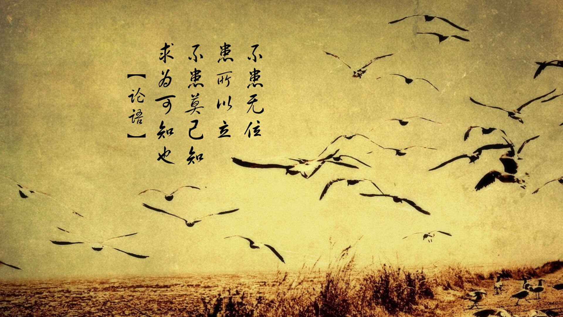 草根的胜利,孙兴慜星光闪耀与亚特兰大的黑暗骑士传奇