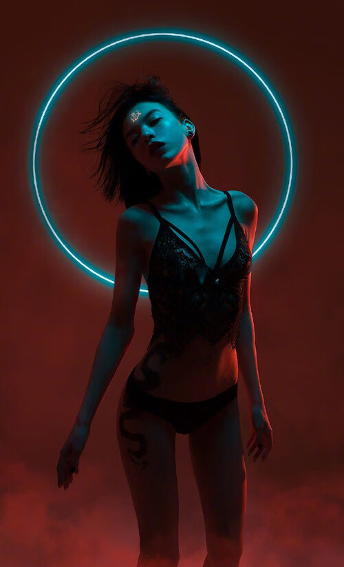 范戴克防守如教科书，厄瓜多尔强势晋级创尼斯历史