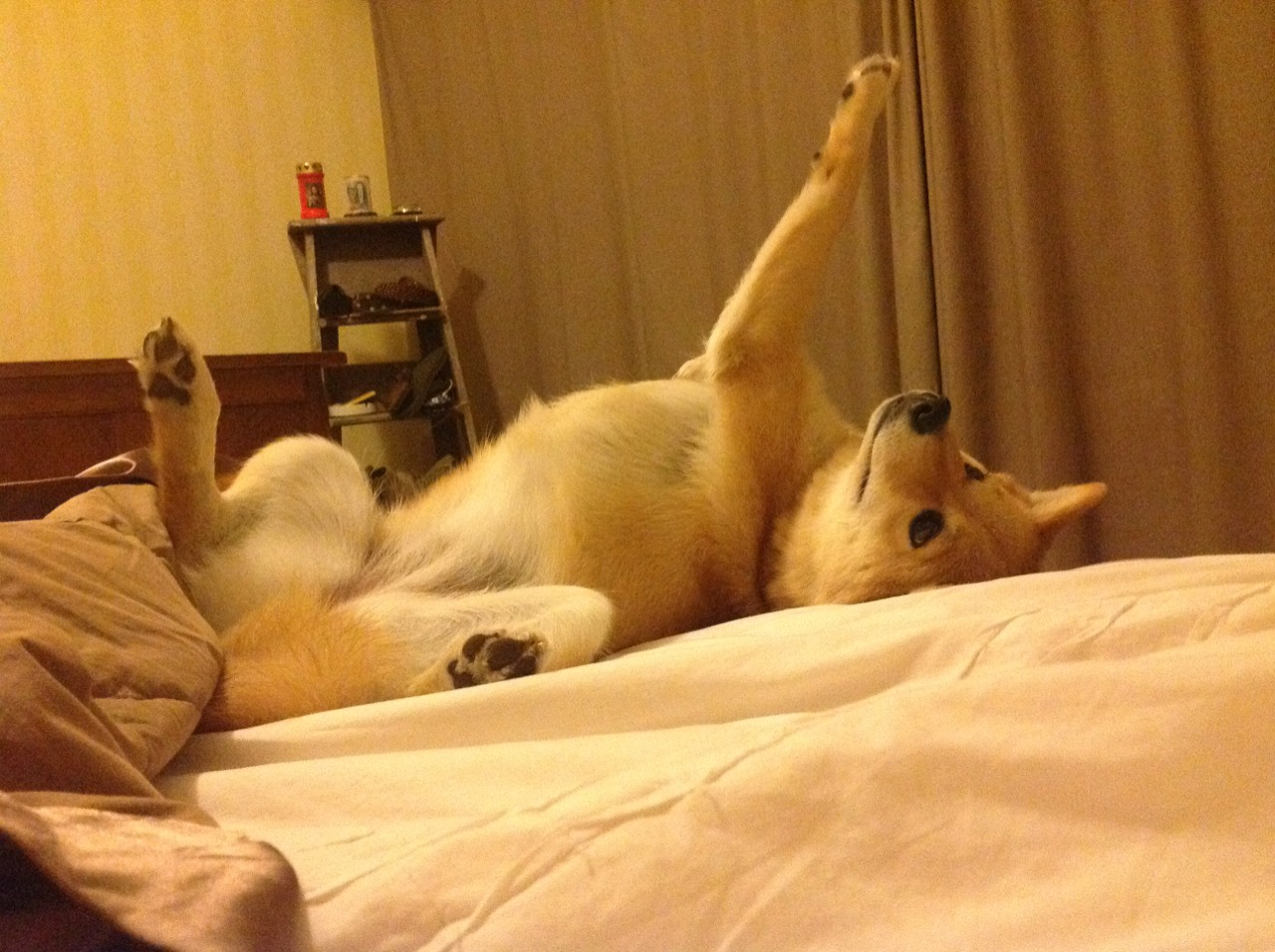 璀璨之战,欧文主宰尼克斯与太阳巅峰对决