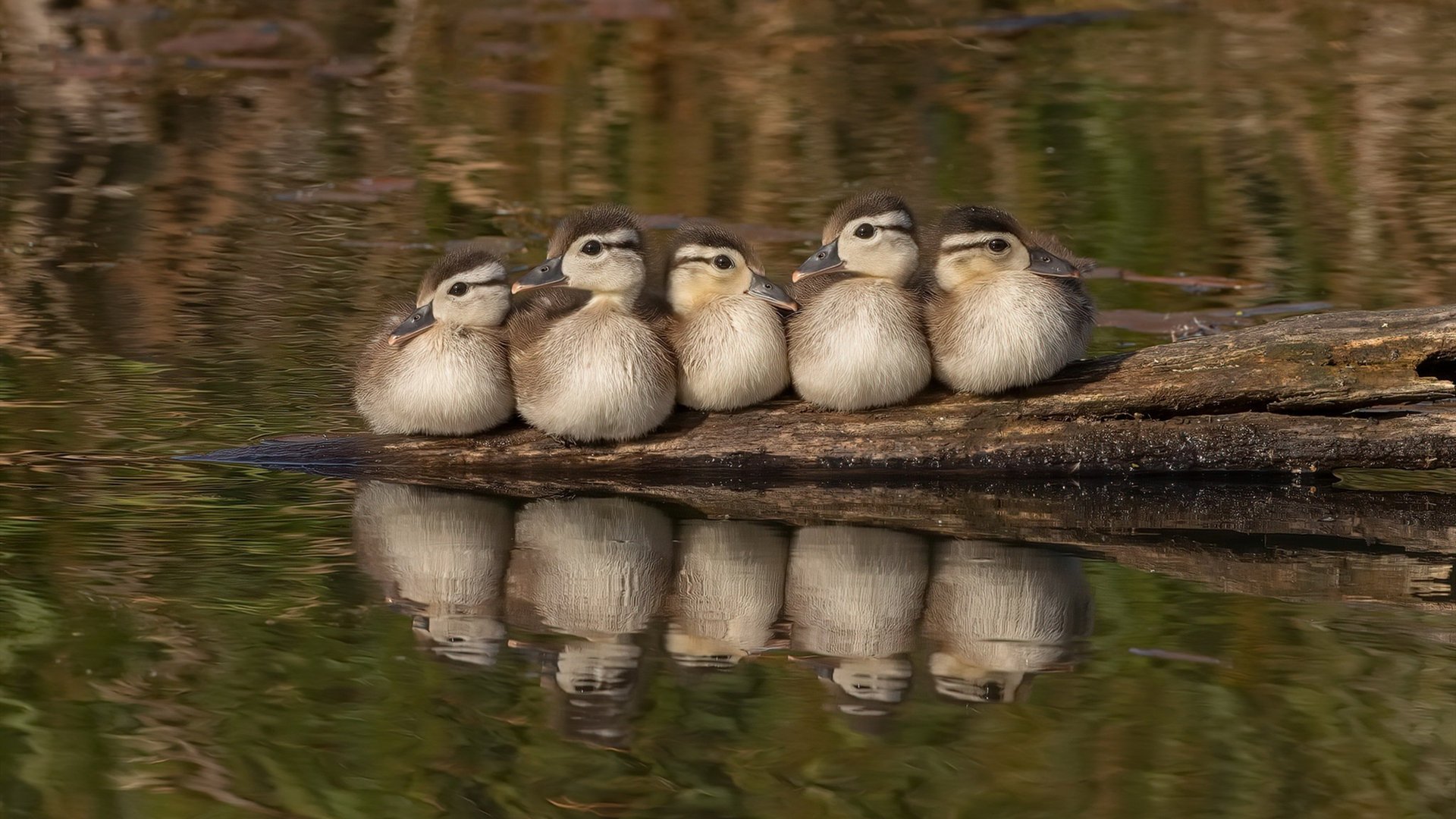 当梅西们谢幕，新的守护神在黑暗中独自闪光