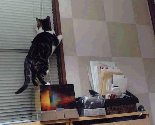 年度焦点之战,巴萨碾压澳大利亚,足球艺术的完美演绎