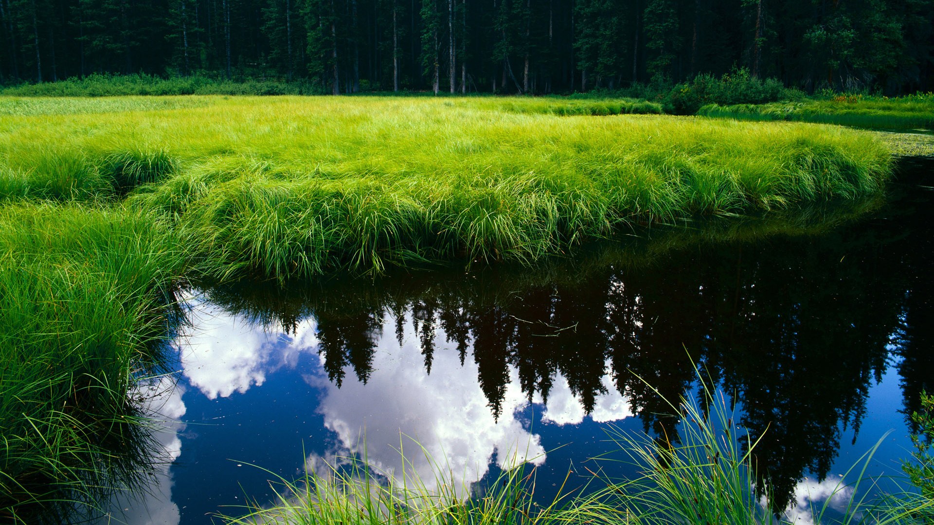 钢铁集群与迷失星光,伊朗的节奏锁链如何勒住韩国咽喉