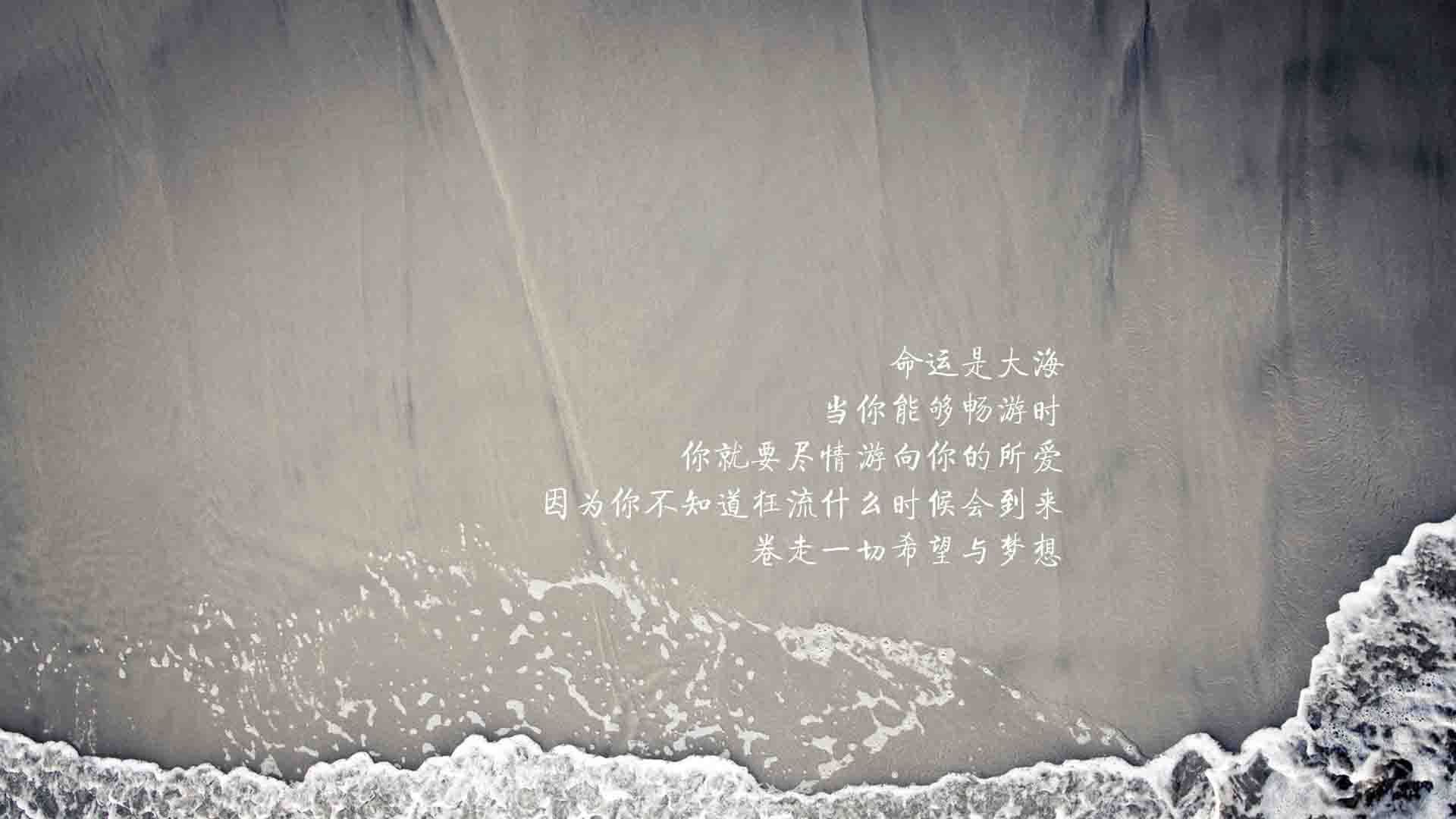 欧冠淘汰赛焦点战，葡萄牙风暴席卷新西兰黑马