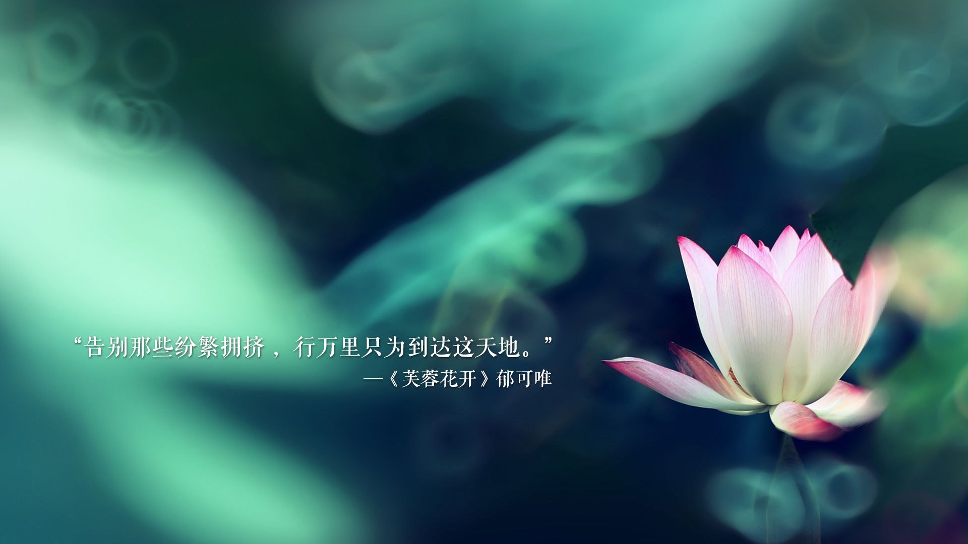 归化之光，穆西亚拉引爆日本进攻线，保加利亚在H组遭遇惨败