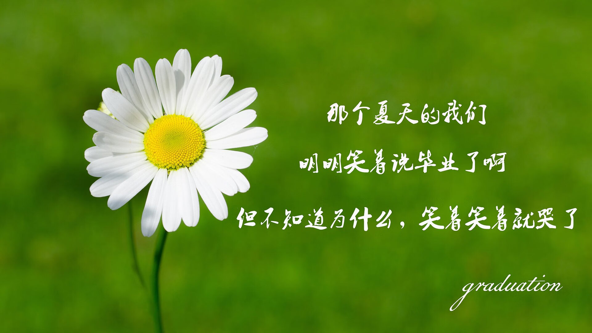 沙漠与海的绝唱,当2026年的多哈见证逆转之国的幻灭与重生