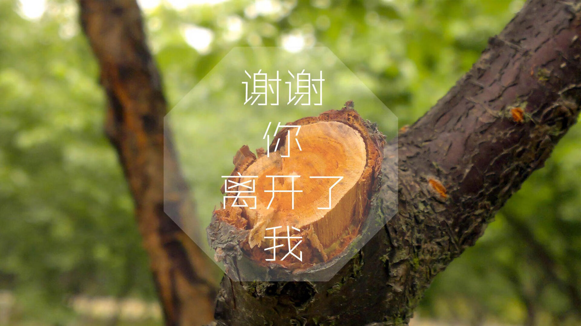冰与火的独白,在那场被久保建英与逆转写就的唯一之战