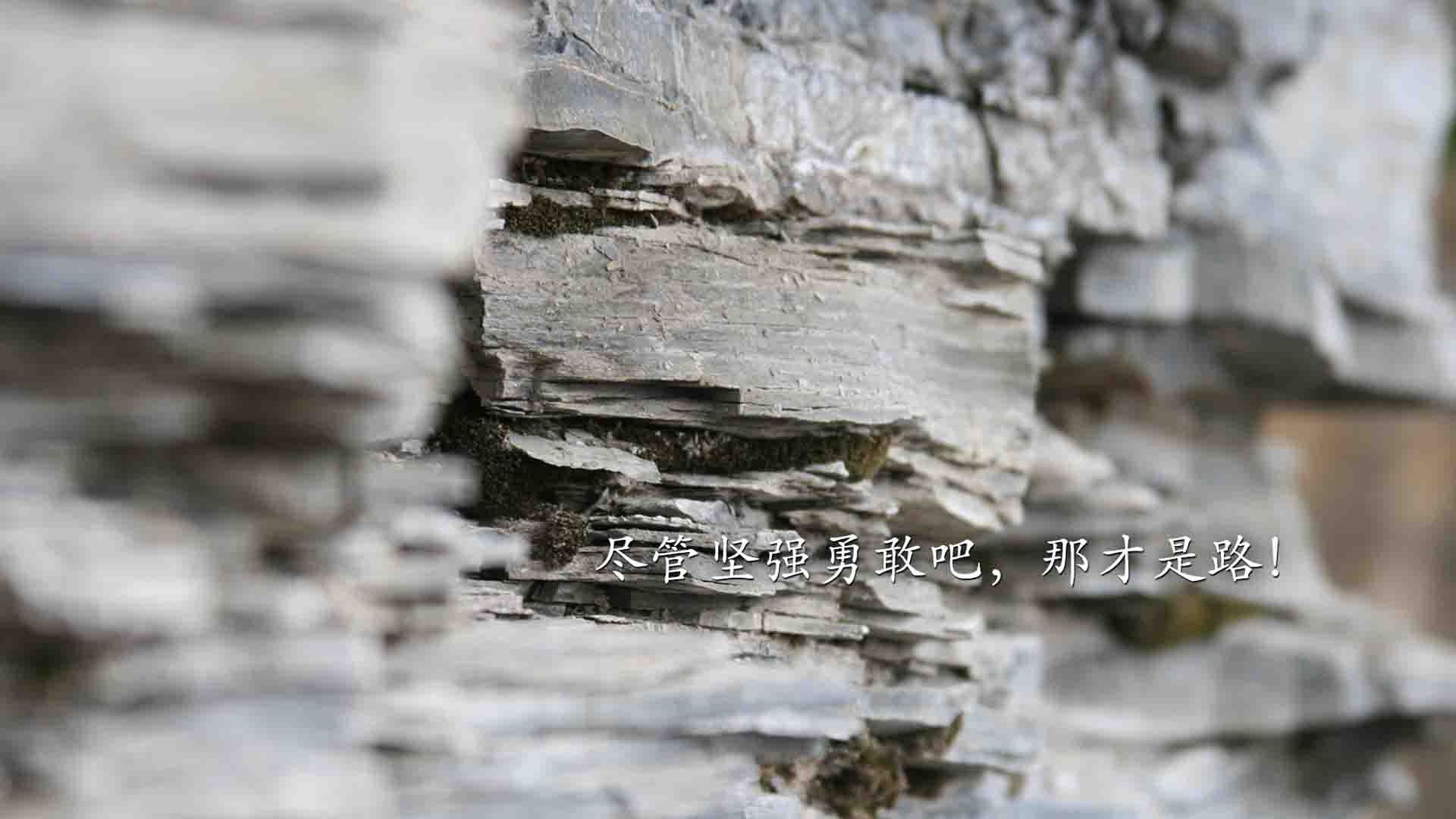 从北境风暴到致命一刀,2026世界杯上的丹麦复仇记,以及巴雷拉如何刺穿历史