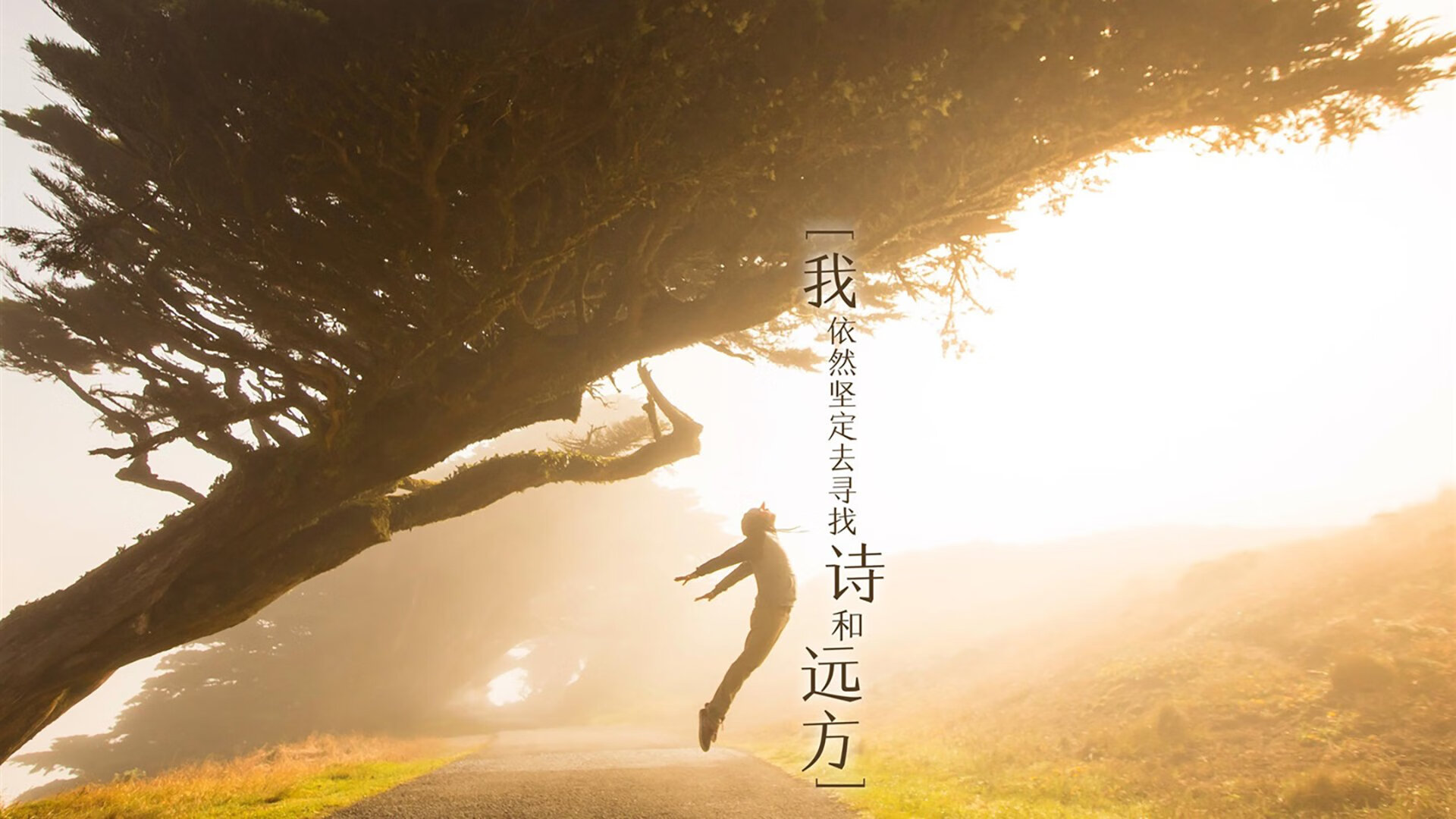 绿茵孤星，当莫德里奇在匈牙利战袍下，写下世界杯唯一的诗